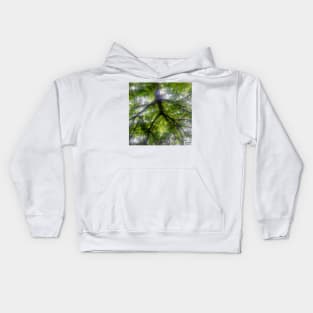 Sun Trees Photo Kids Hoodie